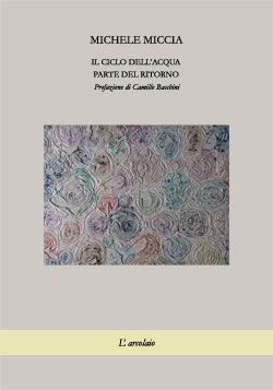 Il ciclo dell'acqua - parte del ritorno